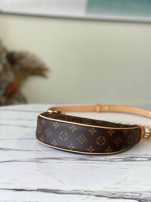 Louis Vuitton Loop Bag – Monogram Canvas